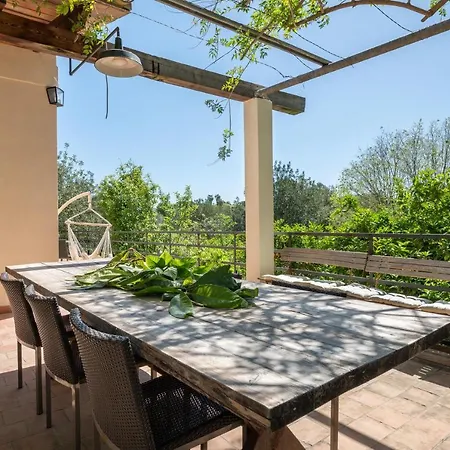 Sa Teulera De Villa Sencelles